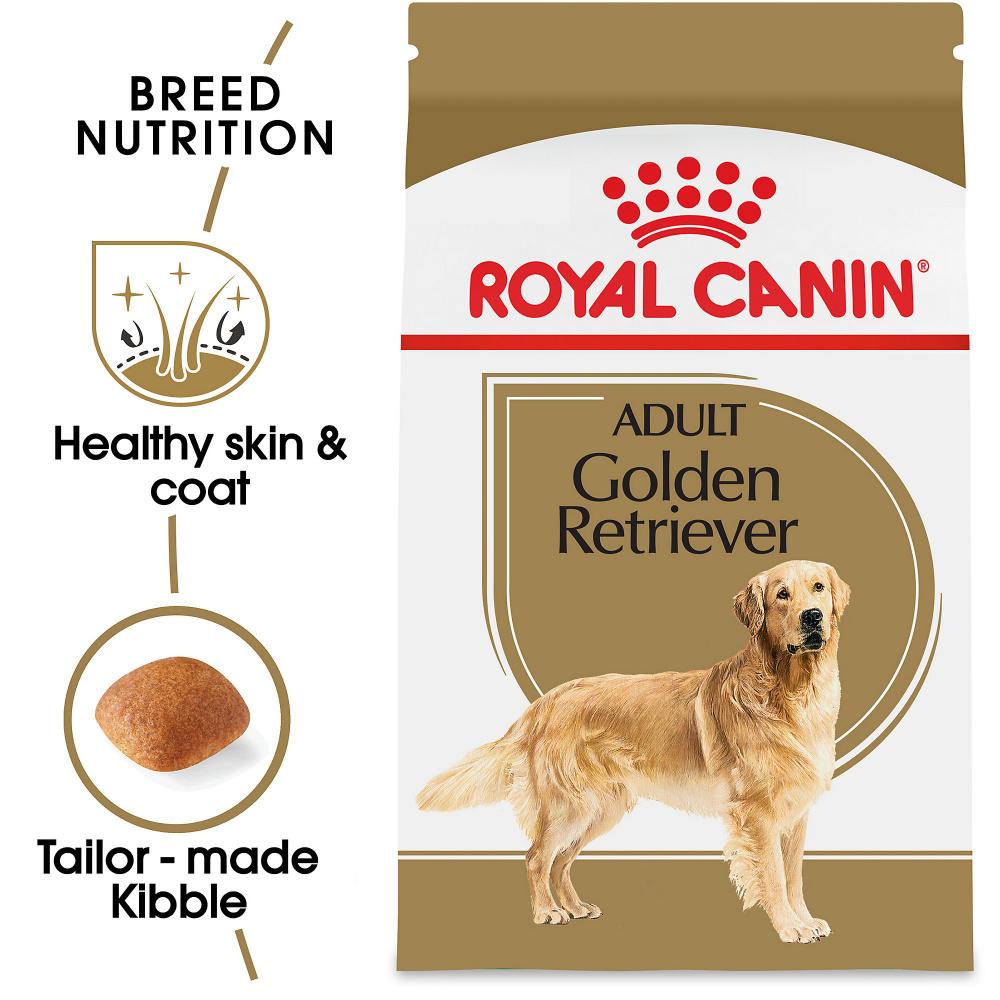 Royal Canin Breed Health Nutrition Golden Retriever Adult Dry Dog