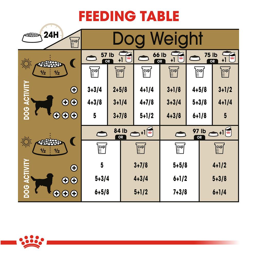 best outdoor water bowl for cats Uahpet Best Raised & Elevated Cat Food Bowls
