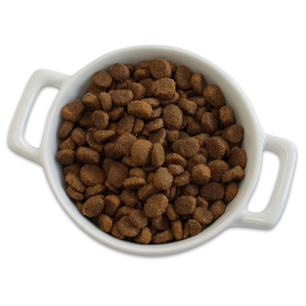 Merrick grain hotsell free dog food