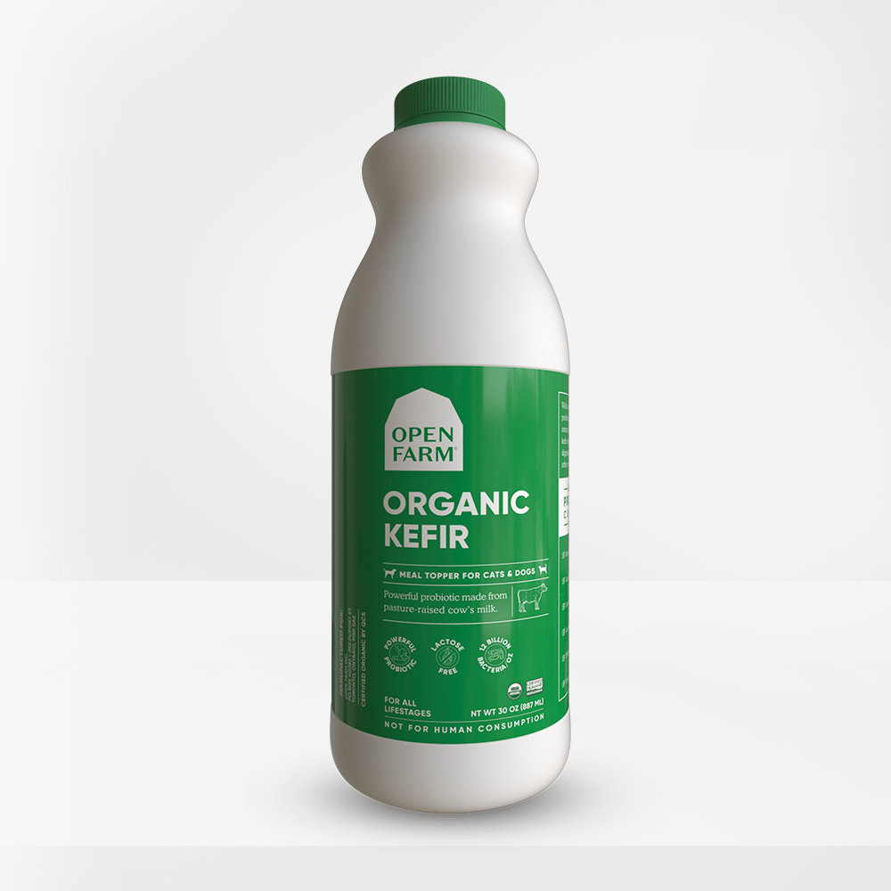 Organic Milk Kefir Turkish Grains Live Probiotic 1 Tspn + Inst. Buy 2 Get 1  Free