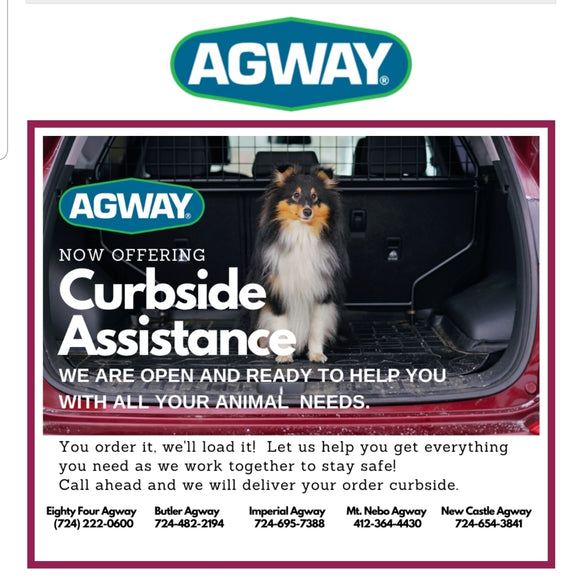 Curbside Assistance