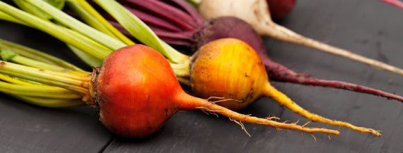 Guide to starting root vegetable seeds by Espoma