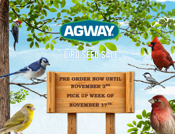 2025 Wild Bird Sale