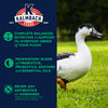 Kalmbach 16% Flock Maintainer (50 LB)