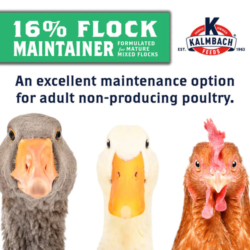 Kalmbach 16% Flock Maintainer (50 LB)