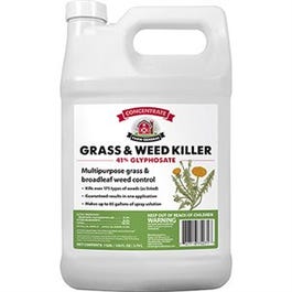 Grass & Weed Killer, 41% Glyphosate, 1-Gallon