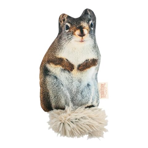 Territory Floppy Squirrel Dog Toy (11