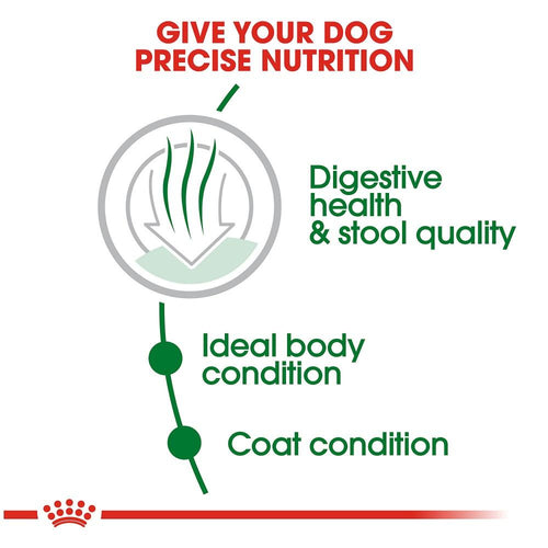 Royal Canin Size Health Nutrition Small Breed Indoor Adult Dry Dog Food