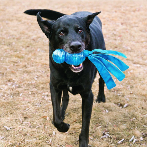 KONG Wubba Comet Dog Toy