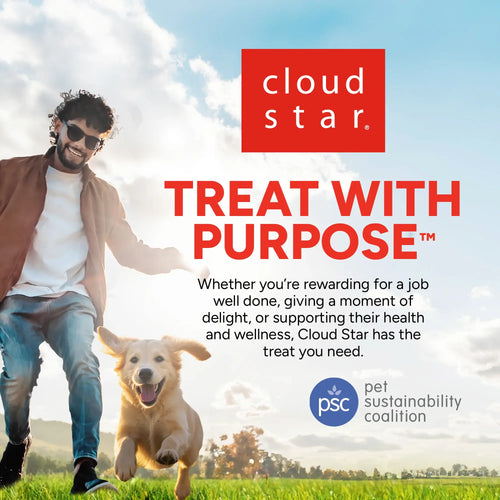 Dogswell Gut Health Mini Jerky Treats Lamb