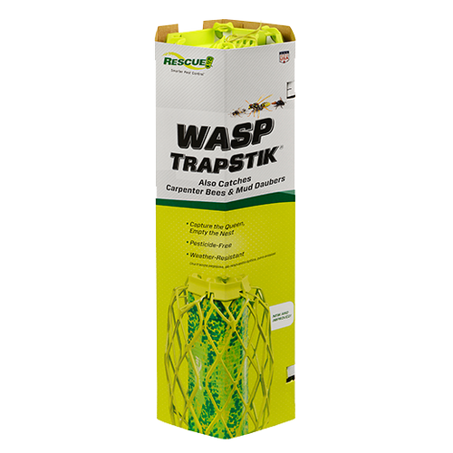 Rescue TrapStik Wasp Trap