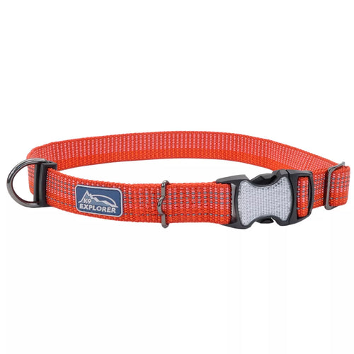 Coastal Pet Products K9 Explorer Brights Reflective Adjustable Dog Collar (1 x 18”-26”, Lake)