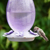 Nature's Way Bird Products Lilac Dreams Antique Glass Gravity Hummingbird Feeder