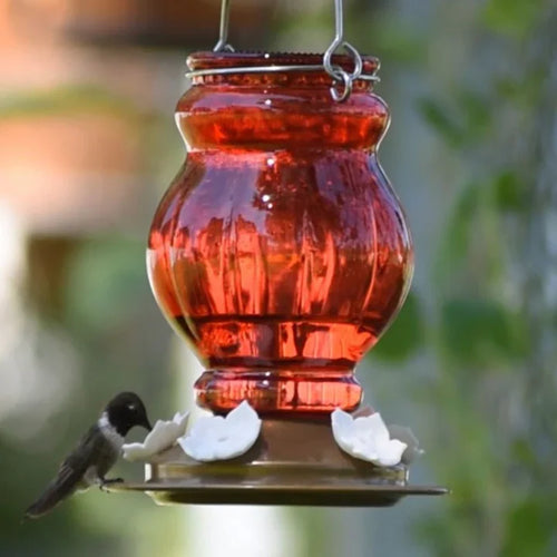 Nature's Way Bird Products Ruby Visions Antique Glass Gravity Hummingbird Feeder