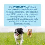 NutriSource® Soft Chew Mobility Supplement Canine Health Supplements