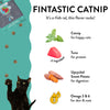 Shameless Pets Fintastic Catnip and Tuna Flavor Crunchy Cat Treats