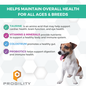 Nootie ProgilityMinis Multivitamin Soft Chew Supplement For Dogs (60 Count)