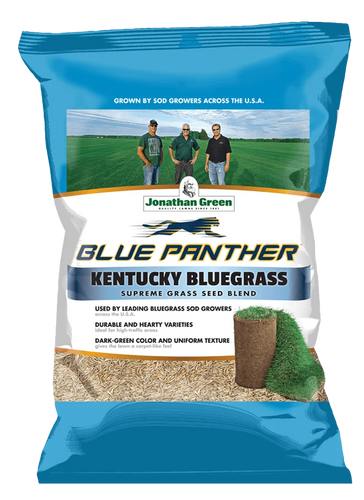 Jonathan Green Blue Panther® Kentucky Bluegrass Grass Seed