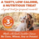 NutriSource SuperStars Soft & Tasty Cheddar Cheese Training Rewards Treats for Dogs (16 oz)