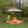 Nature's Way All-In-One Oriole Buffet Feeder