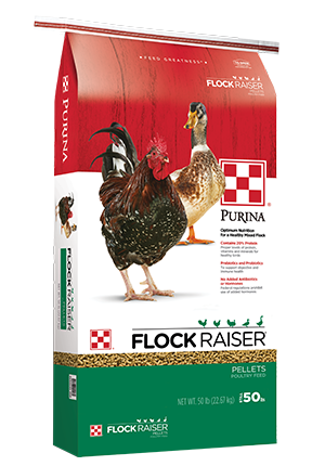 Purina® Flock Raiser® Pellets