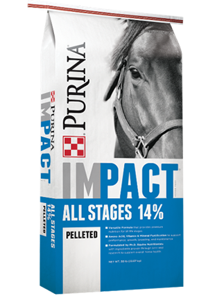 Purina® Impact® All Stages 14% Pelleted Horse Feed (50 lbs)