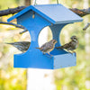 Nature's Way Bird Products EcoCycle™ Dine-n-Dash Recycled Plastic Bird Feeder