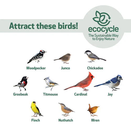 Nature's Way EcoCycle™ Bird Banquet Recycled Plastic Hopper Bird Feeder