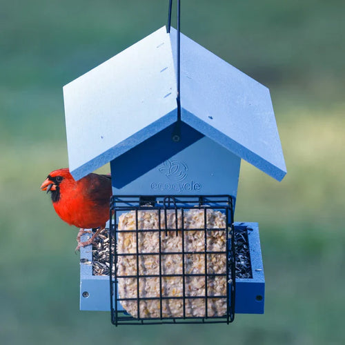 Nature's Way EcoCycle™ Hopper Hangout Recycled Plastic Hopper Bird Feeder w/ Suet Cages