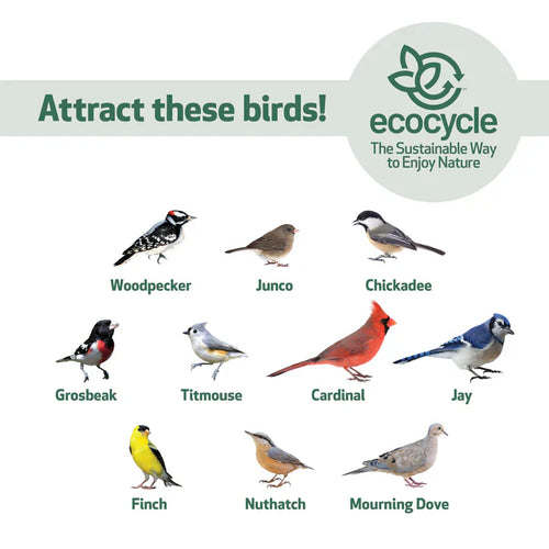 Nature's Way EcoCycle™ Perfect Picnic Recycled Plastic Bird Feeder