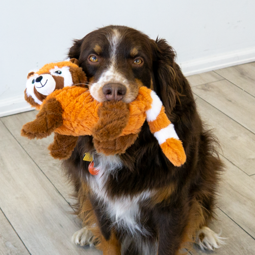 KONG Scampers Red Panda Dog Toy