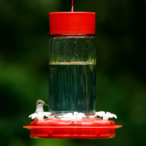 Nature's Way Bird Products Scarlet Swirl Gravity Hummingbird Feeder