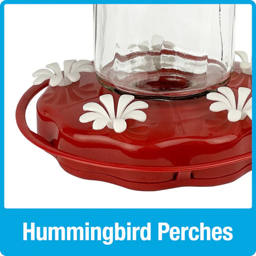 Nature's Way Bird Products Scarlet Swirl Gravity Hummingbird Feeder