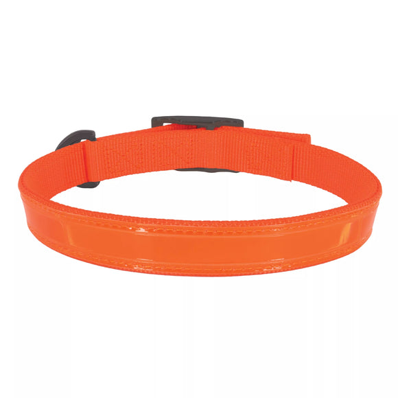 Coastal Pet Products Water & Woods Double-Ply Reflective Hound Dog Collar (Orange)