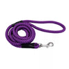 Coastal Pet Coastal Rope Dog Leash (1/2 X 6', Purple)