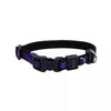 Coastal Pet Products Inspire Adjustable Dog Collar