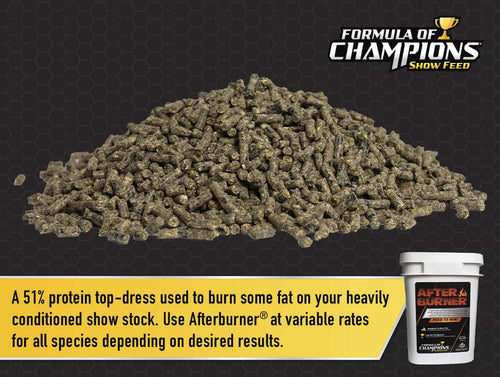 Kalmbach Afterburner