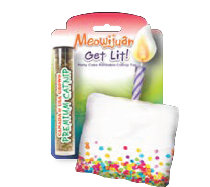 Get Lit Refillable Birthday Cake