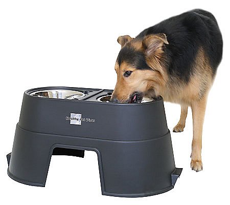 Our Pets Healthy Pet Diner 12 Black