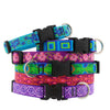 LupinePet Original Designs Dog Collar