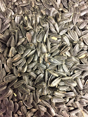 Birds Luv' Em Black Oil Sunflower