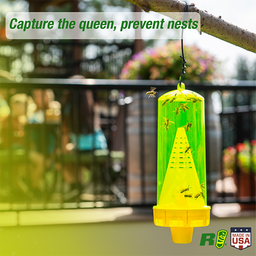 Sterling RESCUE! Yellowjacket Trap