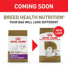 Royal Canin Breed Health Nutrition Adult Maltese Dry Dog Food