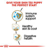 Royal Canin Breed Health Nutrition Shih Tzu Puppy Dry Dog Food