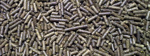 Bluebonnet Intensify® Pelleted