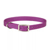 Coastal Pet Products Coastal Single-Ply Dog Collar Orchid 3/4 x 18
