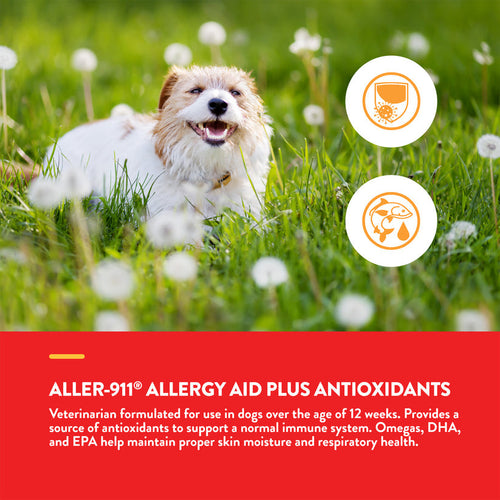 NaturVet Scoopables Aller-911 Allergy Aid For Dogs Chews