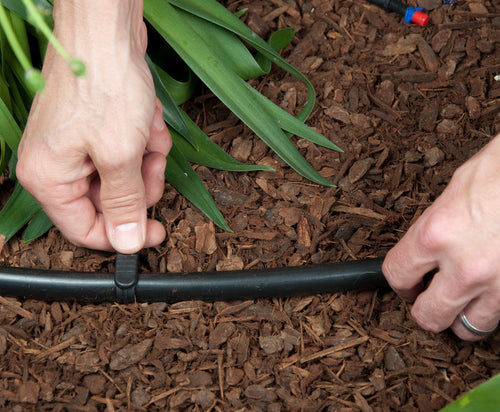 DIG Drip Irrigation Kit