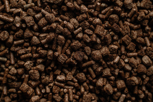 BUCKEYE™ Nutrition EQ8™ Gut Health