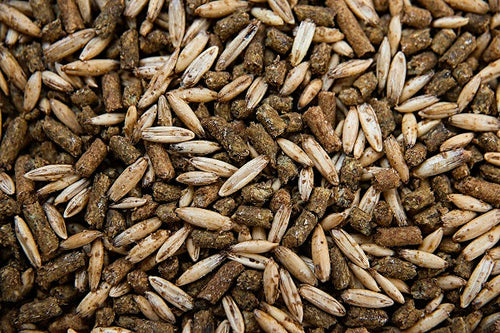 BUCKEYE™ Nutrition Growth Textured Sweet